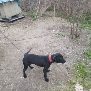 Meet your Posher, Tray